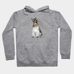 Schnauzer Hoodie